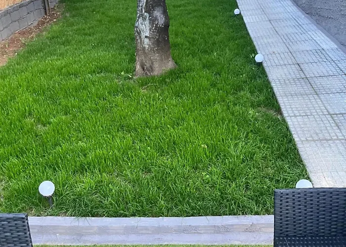 Elatovillage